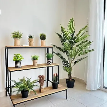 H&o Alina Sunset * Paphos