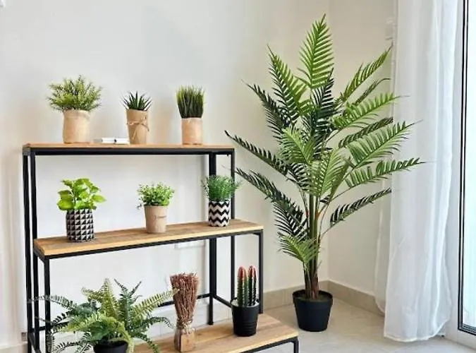 H&o Alina Sunset * Paphos